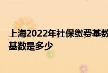 上海2022年社保缴费基数是多少 2022年上海最新社保缴费基数是多少 