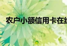 农户小额信用卡在线申请（农户小额贷款）