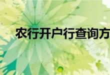 农行开户行查询方法（农行开户行查询）