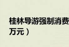 桂林导游强制消费（导游强制游客1小时花2万元）