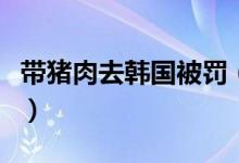 带猪肉去韩国被罚（限制携带入境物品有哪些）