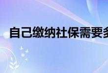 自己缴纳社保需要多少钱 社保怎么自己交 