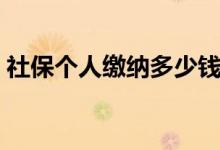 社保个人缴纳多少钱一个月 养老金怎么领取 