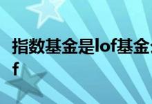 指数基金是lof基金么 指数型基金买lof还是etf