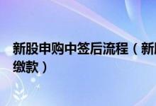 新股申购中签后流程（新股申购规则详解：新股中签后怎么缴款）