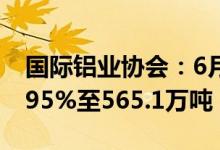 国际铝业协会：6月全球原铝产量同比增长1.95%至565.1万吨