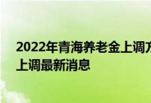 2022年青海养老金上调方案细则参考2021 2022年养老金上调最新消息 