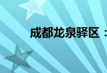 成都龙泉驿区：非必要不离开本区