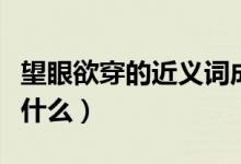 望眼欲穿的近义词成语（望眼欲穿的近义词是什么）