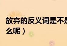 放弃的反义词是不是坚强（放弃的反义词是什么呢）