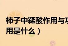 柿子中鞣酸作用与功效（柿子中的有机酸的作用是什么）