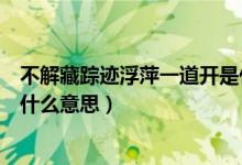 不解藏踪迹浮萍一道开是什么诗（不解藏踪迹浮萍一道开是什么意思）