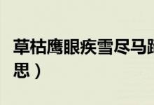 草枯鹰眼疾雪尽马蹄轻寓意（草枯鹰眼疾的意思）