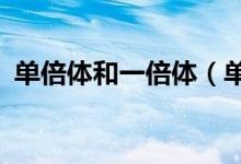 单倍体和一倍体（单倍体和一倍体啥区别?）