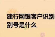 建行网银客户识别号是什么 建行网银客户识别号是什么