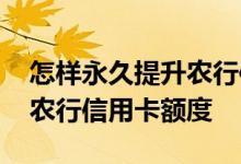 怎样永久提升农行信用卡额度 怎样申请提升农行信用卡额度