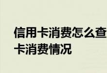 信用卡消费怎么查看详细信息 如何查看信用卡消费情况