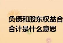 负债和股东权益合计300亿 负债和股东权益合计是什么意思 