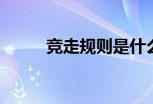 竞走规则是什么标准（竞走规则）