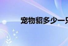 宠物貂多少一只（宠物貂的价格）