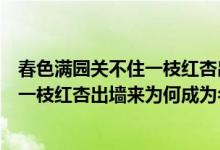 春色满园关不住一枝红杏出墙来是什么句（春色满园关不住一枝红杏出墙来为何成为名句）