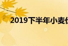 2019下半年小麦价格（2019下款口子）