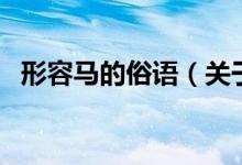 形容马的俗语（关于马的两句俗语有哪些）