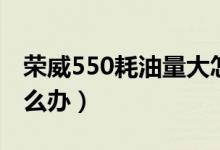 荣威550耗油量大怎么办（荣威550油耗高怎么办）