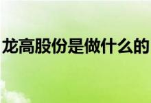 龙高股份是做什么的（龙高股份有什么概念 ）