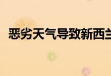 恶劣天气导致新西兰180多架次航班被取消