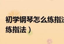 初学钢琴怎么练指法视频教学（初学钢琴怎么练指法）
