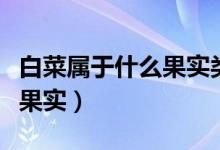 白菜属于什么果实类型（白菜的果实属于什么果实）