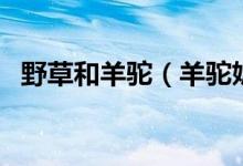 野草和羊驼（羊驼妮妮和羊驼草草哪只好）