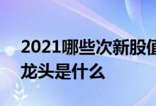 2021哪些次新股值得关注 2021优质次新股龙头是什么 