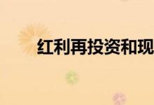 红利再投资和现金分红有什么区别？