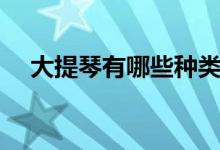大提琴有哪些种类（大提琴名曲有哪些）