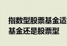 指数型股票基金适合定投吗 长期定投指数型基金还是股票型