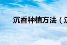 沉香种植方法（沉香种植方法与技术）