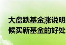大盘跌基金涨说明这个基金好吗 大盘大跌时候买新基金的好处