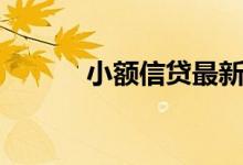 小额信贷最新消息（小额信贷）