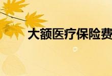 大额医疗保险费一年交多少 怎么交 