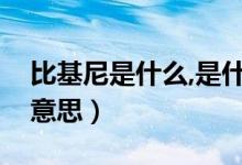 比基尼是什么,是什么样（北京比基尼是什么意思）