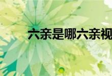 六亲是哪六亲视频（六亲是哪六亲）