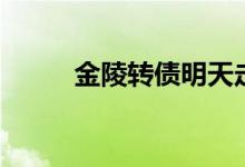 金陵转债明天走势（金陵是哪里）