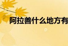 阿拉善什么地方有玛瑙（阿拉善什么梗）