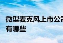 微型麦克风上市公司龙头微型麦克风上市公司有哪些