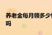 养老金每月领多少钱 养老金交15年可以退休吗 