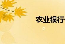 农业银行个人网上银行