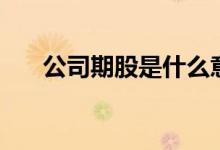 公司期股是什么意思 期股是什么意思 