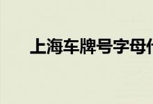 上海车牌号字母代表（上海车牌拍卖）